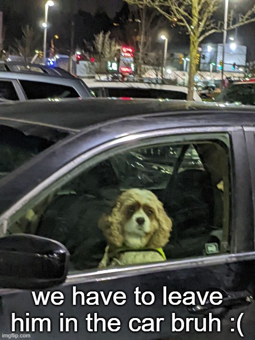 bro. why am I alive. | we have to leave him in the car bruh :( | made w/ Imgflip meme maker