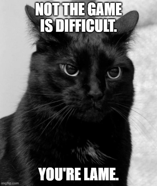 Black cat pissed | NOT THE GAME IS DIFFICULT. YOU'RE LAME. | image tagged in black cat pissed | made w/ Imgflip meme maker