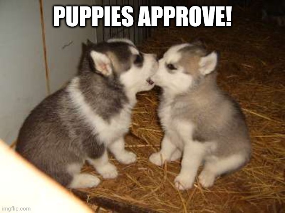Cute Puppies Meme | PUPPIES APPROVE! | image tagged in memes,cute puppies | made w/ Imgflip meme maker