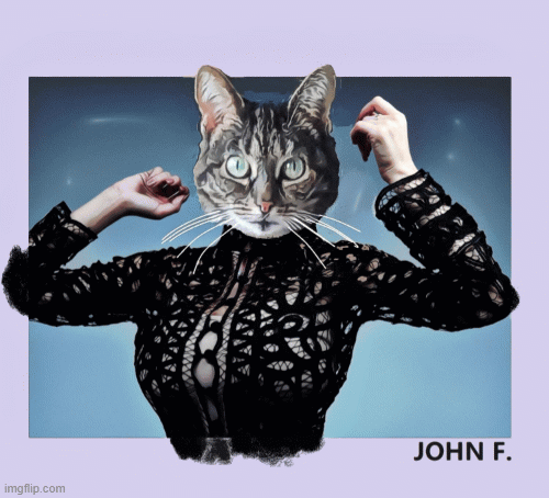 CAT WOMAN | image tagged in gifs,catwoman | made w/ Imgflip images-to-gif maker