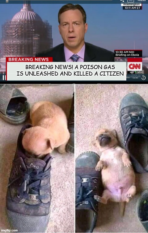 BREAKING NEWS! A POISON GAS IS UNLEASHED AND KILLED A CITIZEN | image tagged in cnn breaking news template | made w/ Imgflip meme maker