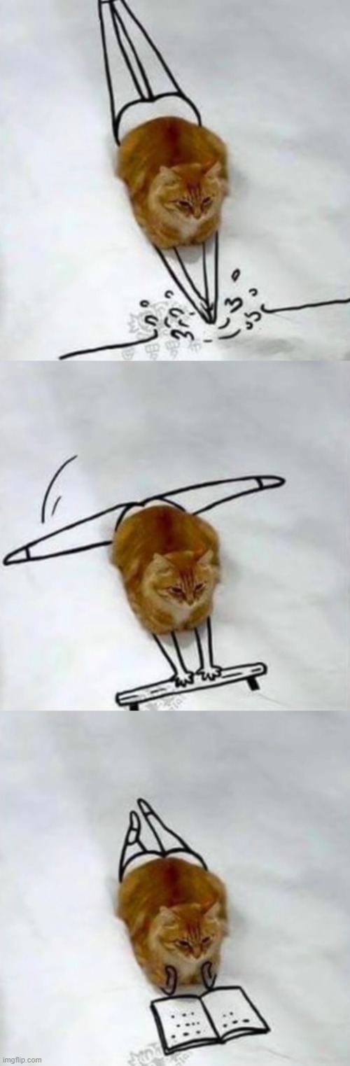 image tagged in cats | made w/ Imgflip meme maker