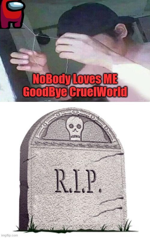 NoBody Loves ME
GoodBye CruelWorld | image tagged in rip,dark humor | made w/ Imgflip meme maker