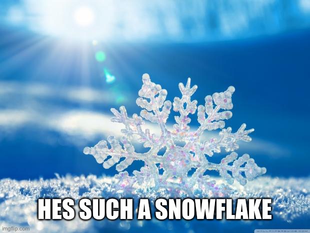 snowflake | HES SUCH A SNOWFLAKE | image tagged in snowflake | made w/ Imgflip meme maker