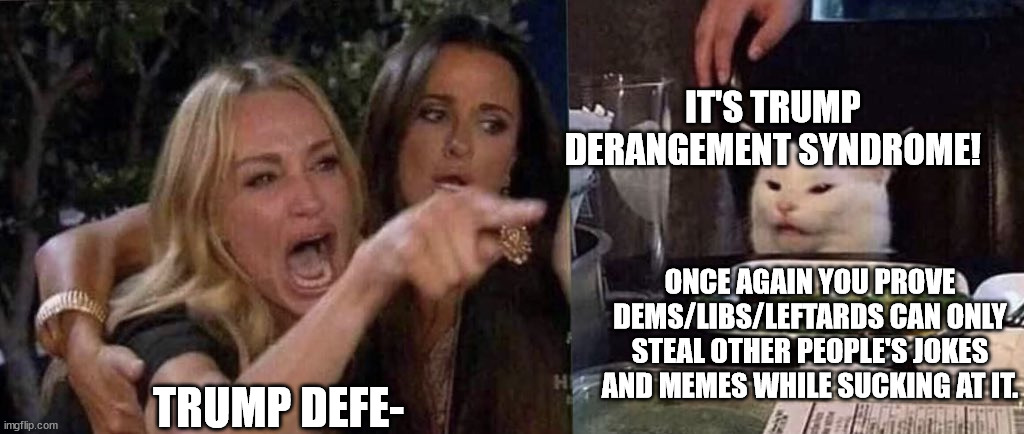 woman yelling at cat | TRUMP DEFE- IT'S TRUMP DERANGEMENT SYNDROME! ONCE AGAIN YOU PROVE DEMS/LIBS/LEFTARDS CAN ONLY STEAL OTHER PEOPLE'S JOKES AND MEMES WHILE SUC | image tagged in woman yelling at cat | made w/ Imgflip meme maker