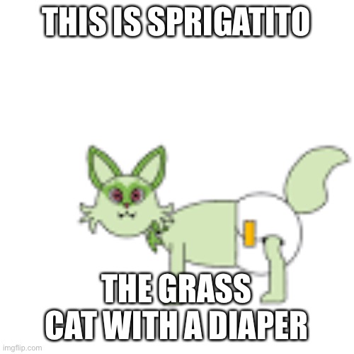 A diaper? What is this $&@! | THIS IS SPRIGATITO; THE GRASS CAT WITH A DIAPER | image tagged in uh what | made w/ Imgflip meme maker