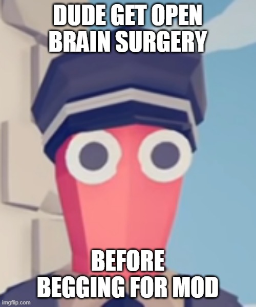 TABS Stare | DUDE GET OPEN BRAIN SURGERY BEFORE BEGGING FOR MOD | image tagged in tabs stare | made w/ Imgflip meme maker