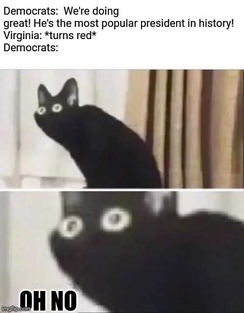 Oh No Black Cat | Democrats:  We're doing great! He's the most popular president in history!
Virginia: *turns red* 
Democrats: OH NO | image tagged in oh no black cat | made w/ Imgflip meme maker