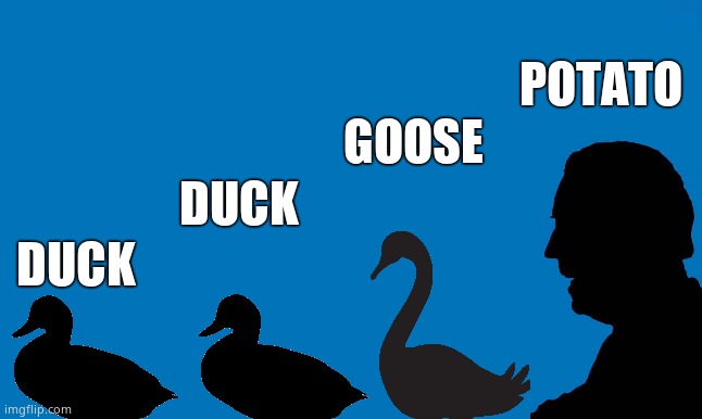 Duck Duck Goose | POTATO; GOOSE; DUCK; DUCK | image tagged in memes,duck,goose,biden,funny memes,political meme | made w/ Imgflip meme maker