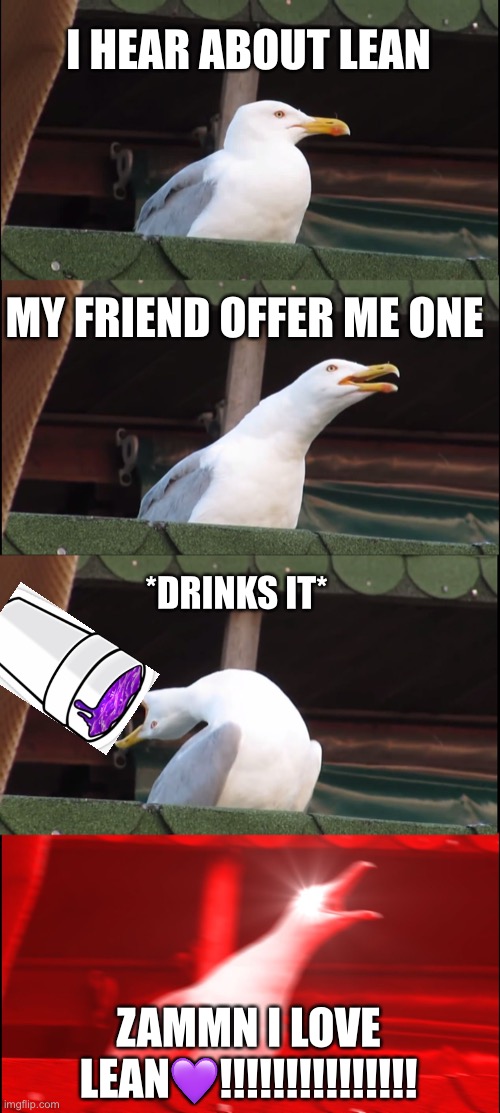 My Lean addiction | I HEAR ABOUT LEAN; MY FRIEND OFFER ME ONE; *DRINKS IT*; ZAMMN I LOVE LEAN💜!!!!!!!!!!!!!!! | image tagged in memes,inhaling seagull,funny memes | made w/ Imgflip meme maker
