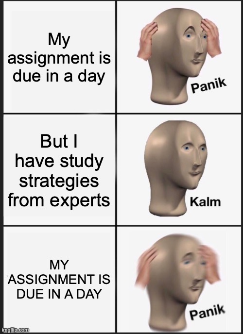 Panik Kalm Panik Meme | My assignment is due in a day; But I have study strategies from experts; MY ASSIGNMENT IS DUE IN A DAY | image tagged in memes,panik kalm panik | made w/ Imgflip meme maker