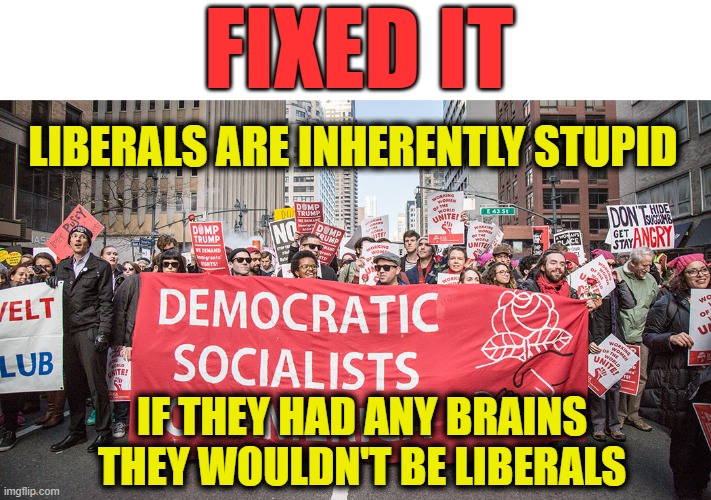 Stupid Liberals | FIXED IT; LIBERALS ARE INHERENTLY STUPID; IF THEY HAD ANY BRAINS THEY WOULDN'T BE LIBERALS | made w/ Imgflip meme maker