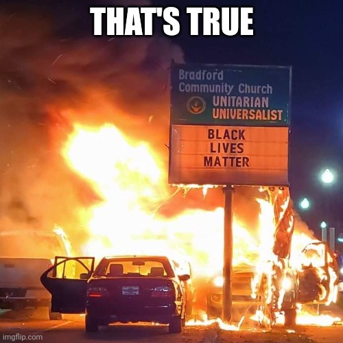 Black Lives Matter | THAT'S TRUE | image tagged in black lives matter | made w/ Imgflip meme maker