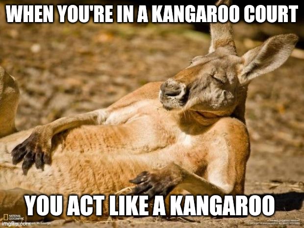 Chillin Kangaroo | WHEN YOU'RE IN A KANGAROO COURT YOU ACT LIKE A KANGAROO | image tagged in chillin kangaroo | made w/ Imgflip meme maker