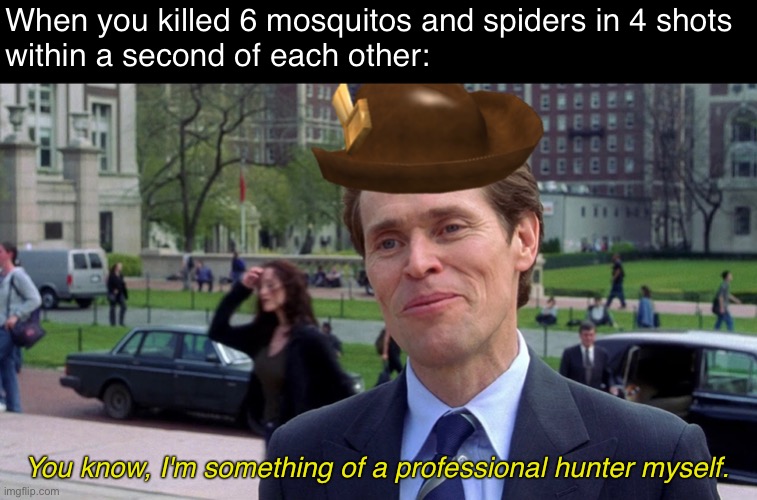 Apex predator | When you killed 6 mosquitos and spiders in 4 shots 
within a second of each other:; You know, I'm something of a professional hunter myself. | image tagged in memes | made w/ Imgflip meme maker