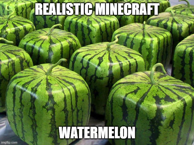 Old meme I made when I didn’t know how to submit memes (I will keep submitting these memes) | REALISTIC MINECRAFT; WATERMELON | image tagged in minecraft melons,old meme | made w/ Imgflip meme maker