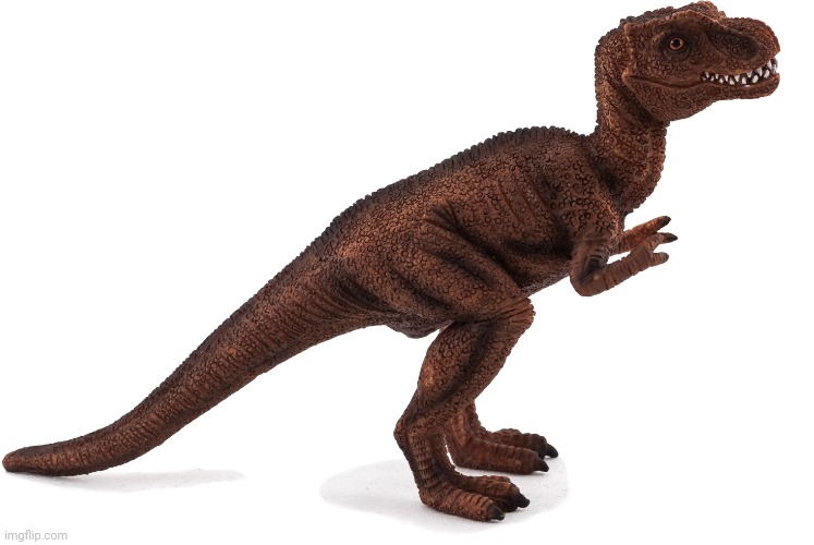 Used in comment | image tagged in baby tyrannosaurus rex | made w/ Imgflip meme maker