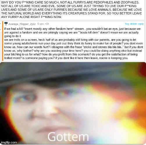 Gottem | image tagged in gottem | made w/ Imgflip meme maker