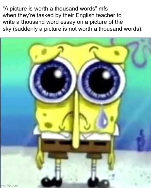 Generic quote mfs when the: | “A picture is worth a thousand words” mfs when they’re tasked by their English teacher to write a thousand word essay on a picture of the sky (suddenly a picture is not worth a thousand words): | image tagged in sad spongebob | made w/ Imgflip meme maker