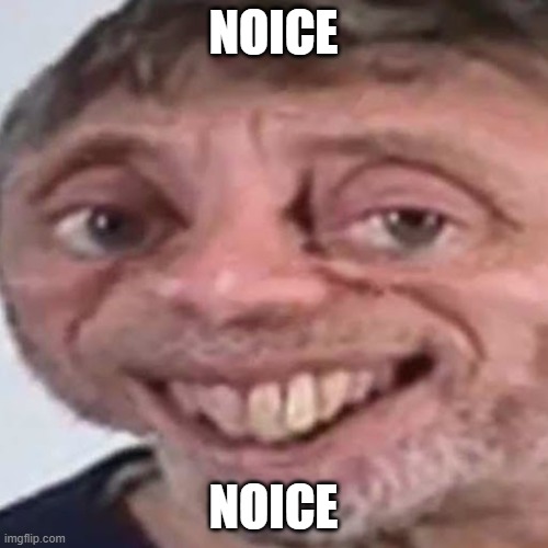 Noice | NOICE NOICE | image tagged in noice | made w/ Imgflip meme maker
