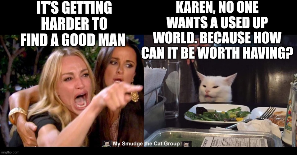 IT'S GETTING HARDER TO FIND A GOOD MAN; KAREN, NO ONE WANTS A USED UP WORLD. BECAUSE HOW CAN IT BE WORTH HAVING? | image tagged in smudge the cat,smudge | made w/ Imgflip meme maker