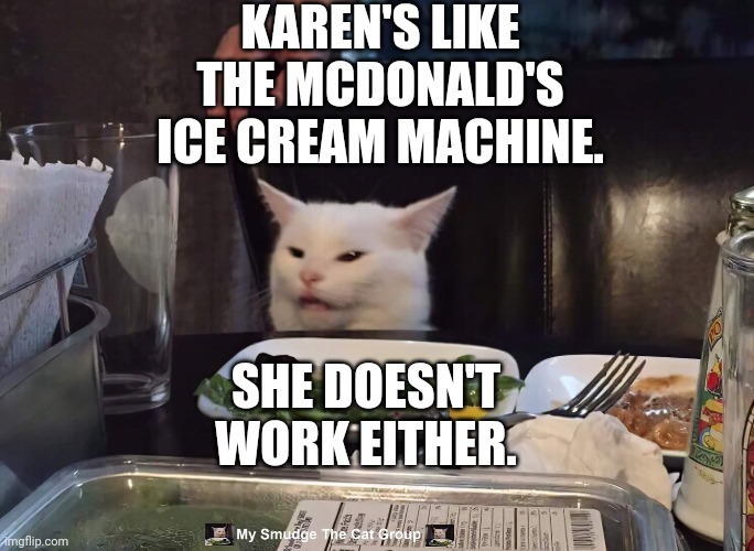 KAREN'S LIKE THE MCDONALD'S ICE CREAM MACHINE. SHE DOESN'T WORK EITHER. | image tagged in smudge the cat,smudge | made w/ Imgflip meme maker