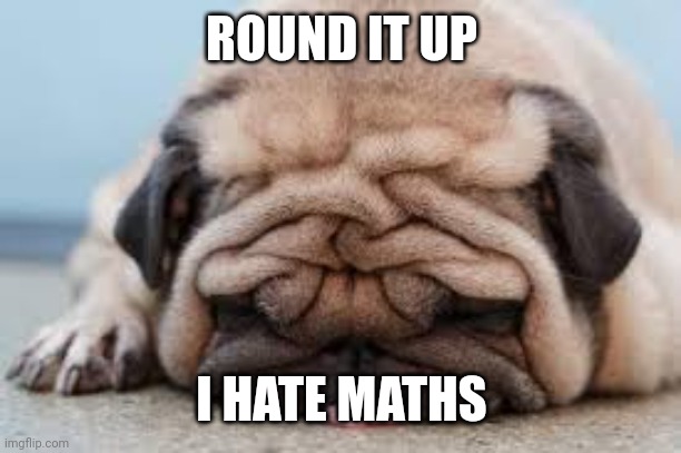 fat lazy pug | ROUND IT UP; I HATE MATHS | image tagged in fat lazy pug | made w/ Imgflip meme maker