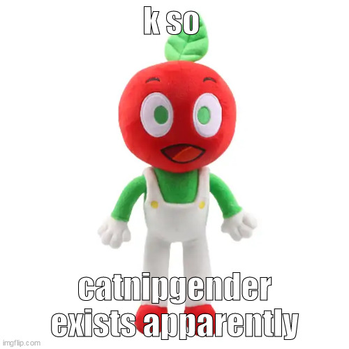 .k | k so; catnipgender exists apparently | image tagged in andy plushie | made w/ Imgflip meme maker