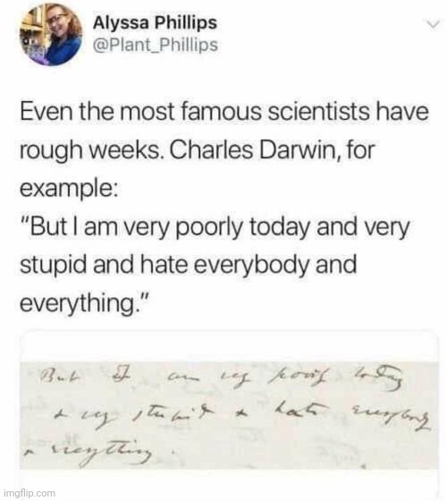 image tagged in funny memes,darwin | made w/ Imgflip meme maker