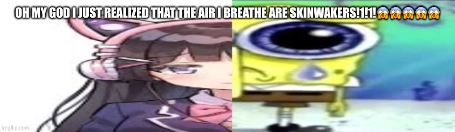 lol | OH MY GOD I JUST REALIZED THAT THE AIR I BREATHE ARE SKINWAKERS!1!1!😱😱😱😱😱 | image tagged in lol | made w/ Imgflip meme maker