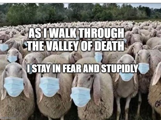Sign of the Sheeple | AS I WALK THROUGH THE VALLEY OF DEATH; I STAY IN FEAR AND STUPIDLY | image tagged in sign of the sheeple | made w/ Imgflip meme maker