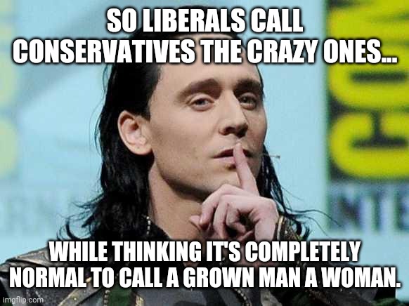 Liberals, you guys are bat shit crazy. | SO LIBERALS CALL CONSERVATIVES THE CRAZY ONES... WHILE THINKING IT'S COMPLETELY NORMAL TO CALL A GROWN MAN A WOMAN. | image tagged in memes | made w/ Imgflip meme maker