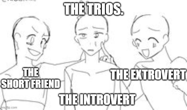 THE TRIOS. THE EXTROVERT; THE SHORT FRIEND; THE INTROVERT | image tagged in memes | made w/ Imgflip meme maker