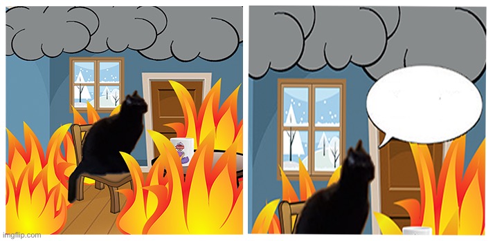 This is Fine But With a Cat | image tagged in this is fine meme but with a cat,sarlah,sarlahthecat,sarlahkitty,vanillabizcotti | made w/ Imgflip meme maker