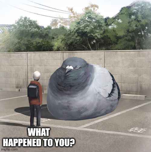 Beeg Birb | WHAT HAPPENED TO YOU? | image tagged in beeg birb | made w/ Imgflip meme maker