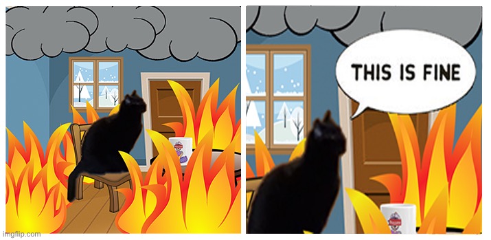 This is Fine But With Cat | image tagged in this is fine with a cat instead,sarlah,sarlahthecat,sarlahkitty,vanillabizcotti | made w/ Imgflip meme maker