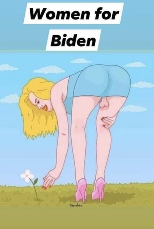 Women? for Biden. | image tagged in tired of hearing about transgenders,women for biden,trannies for biden | made w/ Imgflip meme maker