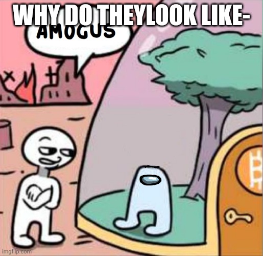 amogus | WHY DO THEYLOOK LIKE- | image tagged in amogus | made w/ Imgflip meme maker