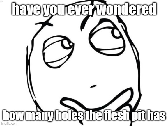 WHY AM I ASKING THIS | have you ever wondered; how many holes the flesh pit has | image tagged in y tho | made w/ Imgflip meme maker
