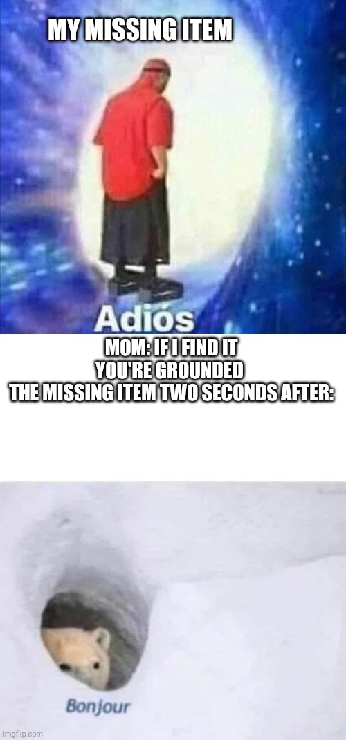 This happens to you to, admit it | MY MISSING ITEM; MOM: IF I FIND IT YOU'RE GROUNDED 
THE MISSING ITEM TWO SECONDS AFTER: | image tagged in adios,bonjour | made w/ Imgflip meme maker