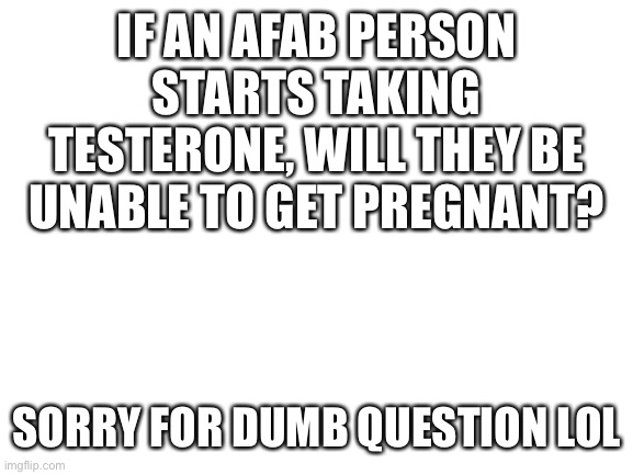 Blank White Template | IF AN AFAB PERSON STARTS TAKING TESTERONE, WILL THEY BE UNABLE TO GET PREGNANT? SORRY FOR DUMB QUESTION LOL | image tagged in blank white template | made w/ Imgflip meme maker