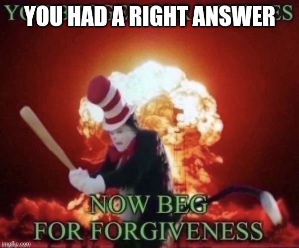 Beg for forgiveness | YOU HAD A RIGHT ANSWER | image tagged in beg for forgiveness | made w/ Imgflip meme maker
