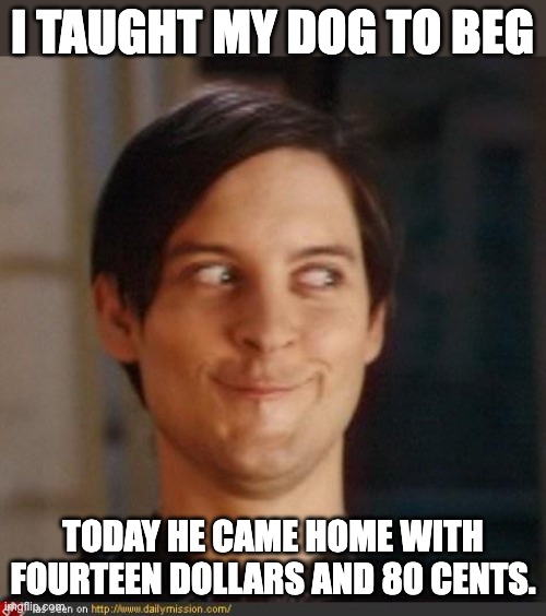 Beg | I TAUGHT MY DOG TO BEG; TODAY HE CAME HOME WITH FOURTEEN DOLLARS AND 80 CENTS. | image tagged in that look you give your friend | made w/ Imgflip meme maker