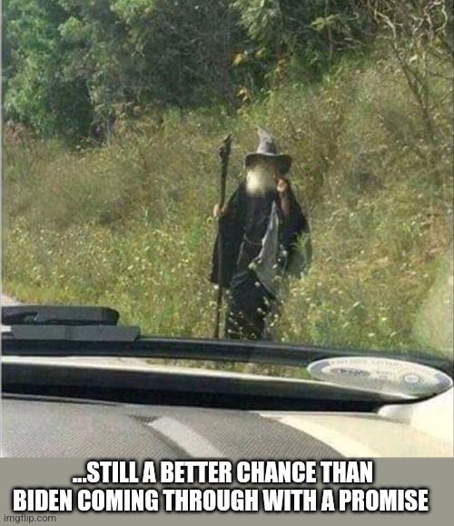 ...STILL A BETTER CHANCE THAN BIDEN COMING THROUGH WITH A PROMISE | image tagged in funny memes | made w/ Imgflip meme maker