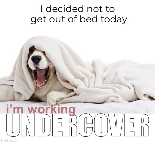 Horizontal Productivity | I decided not to  get out of bed today; i’m working; UNDERCOVER | image tagged in funny memes,bad jokes,eyeroll,lazy sunday | made w/ Imgflip meme maker