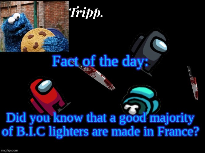 :fat ball-sack emoji: | Fact of the day:; Did you know that a good majority of B.I.C lighters are made in France? | image tagged in floating in dead space tripp | made w/ Imgflip meme maker