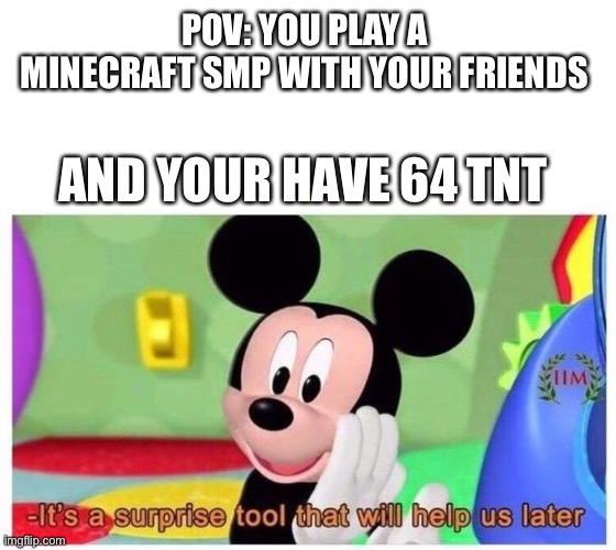 Its a tool we gonna need later… | POV: YOU PLAY A  MINECRAFT SMP WITH YOUR FRIENDS; AND YOUR HAVE 64 TNT | image tagged in it's a surprise tool that will help us later | made w/ Imgflip meme maker