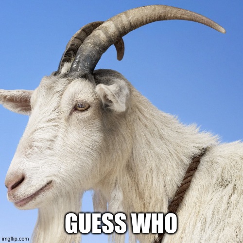 Goat | GUESS WHO | image tagged in memes | made w/ Imgflip meme maker
