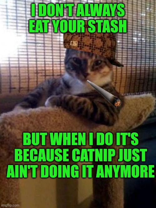 The Most Interesting Cat In The World Meme | I DON'T ALWAYS EAT YOUR STASH; BUT WHEN I DO IT'S BECAUSE CATNIP JUST AIN'T DOING IT ANYMORE | image tagged in memes,the most interesting cat in the world | made w/ Imgflip meme maker