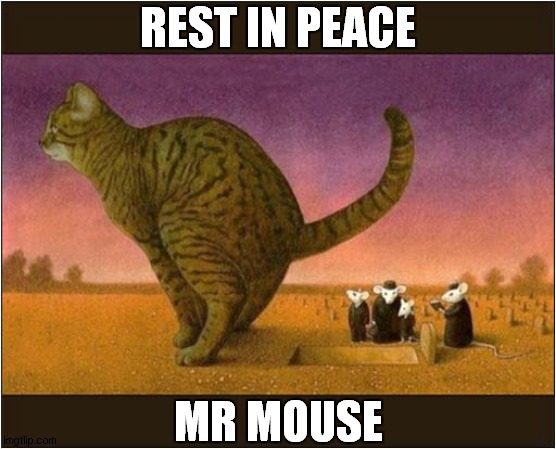 A Very Strange Cartoon For You | REST IN PEACE; MR MOUSE | image tagged in cats,funeral,mouse,cartoon | made w/ Imgflip meme maker